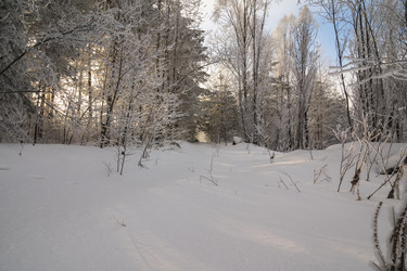 Similar image 21266772