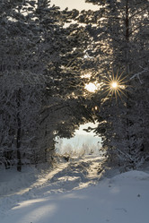 Similar image 21266773