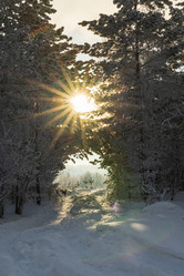 Similar image 21266774