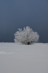 Similar image 21266777