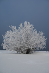 Similar image 21266778