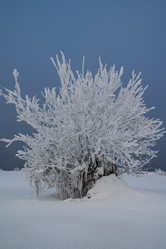 Similar image 21266779