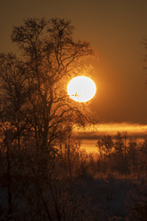 Similar image 21266785