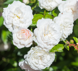 Similar image 21282696