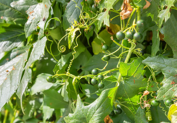 Similar image 21282840