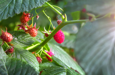 Similar image 21282841