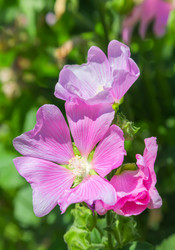 Similar image 21282843