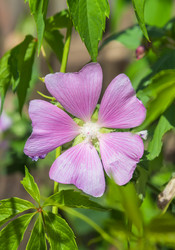 Similar image 21282844