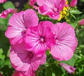 Similar image 21282846