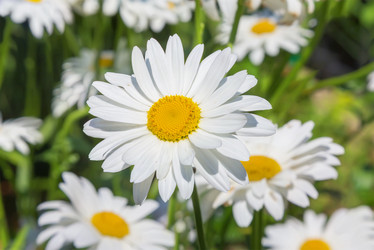 Similar image 21282847