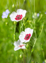 Similar image 21282848