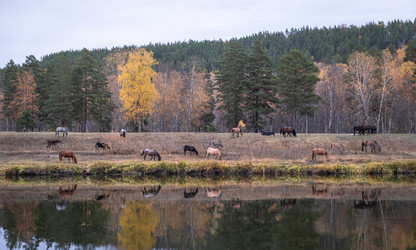 Similar image 21286728