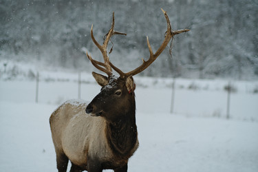 Similar image 21286729