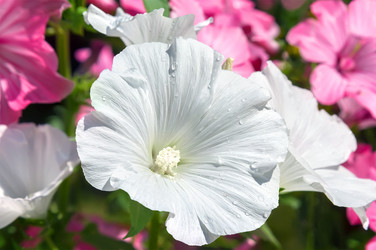 Similar image 21282849