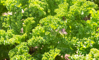 Similar image 21282850