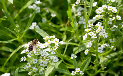 Similar image 21266850