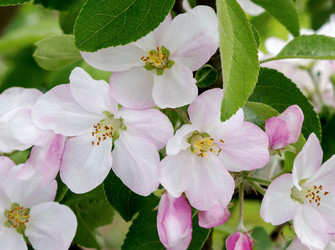 Similar image 21266851