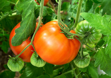 Similar image 21266856