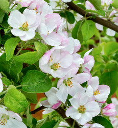 Similar image 21266857