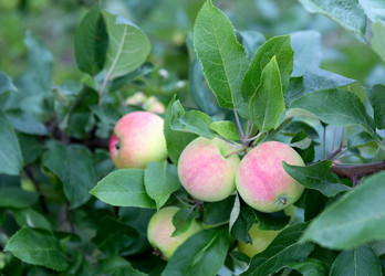 Similar image 21266901