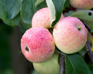 Similar image 21266908