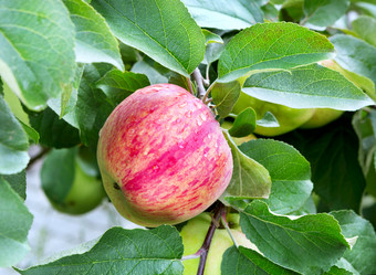 Similar image 21266909