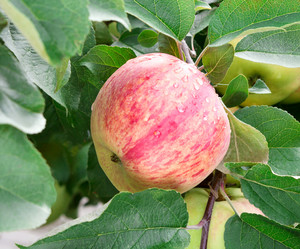 Similar image 21266910