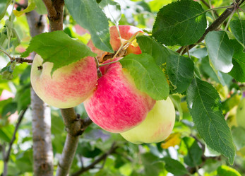 Similar image 21266912