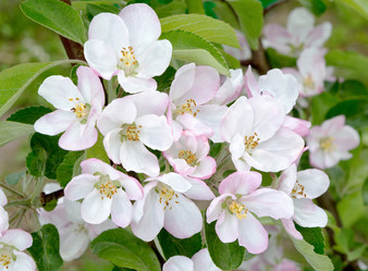 Similar image 21266918