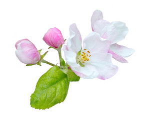 Similar image 21266921