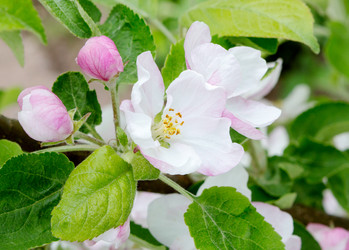 Similar image 21266922