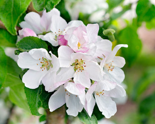 Similar image 21266923