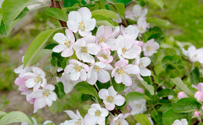 Similar image 21266924