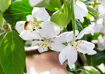 Similar image 21266926