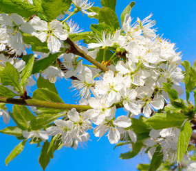 Similar image 21266928