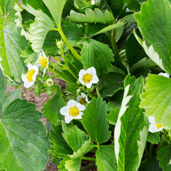 Similar image 21266929