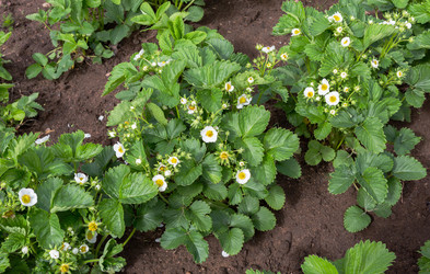 Similar image 21266934