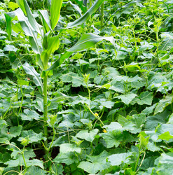 Similar image 21266935