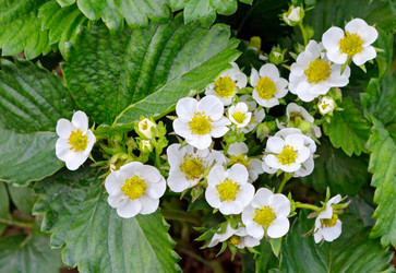 Similar image 21266939