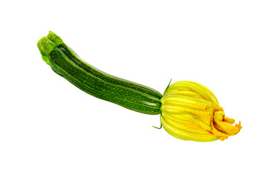 Similar image 21266859