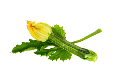 Similar image 21266860