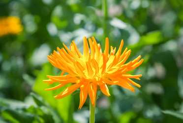 Similar image 21283045