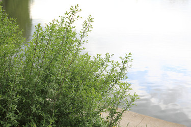 Similar image 21273424