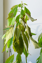 Similar image 21278715