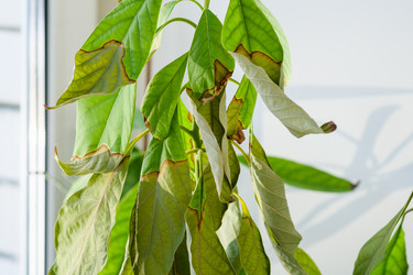 Similar image 21266503