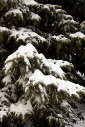 Similar image 21270722