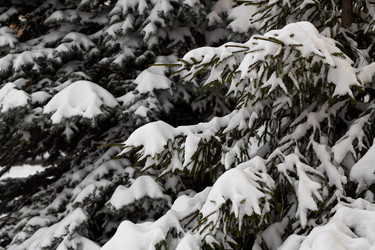 Similar image 21270724