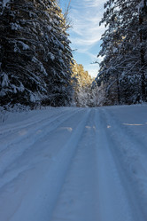 Similar image 21270731