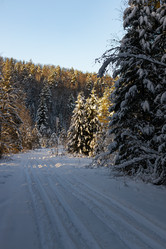 Similar image 21270733