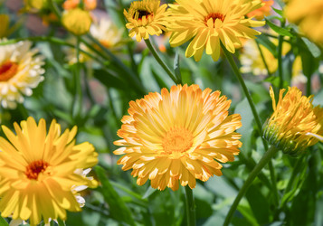 Similar image 21283046